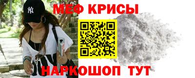 гашик Кингисепп