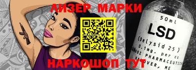 гашик Кингисепп