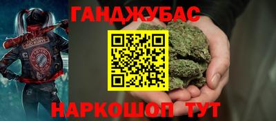 гашик Кингисепп