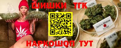 гашик Кингисепп