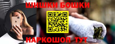 гашик Кингисепп
