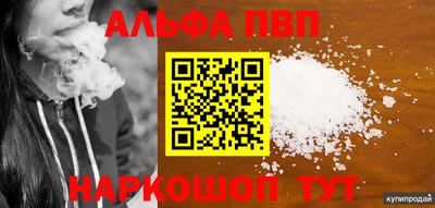 гашик Кингисепп