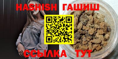 гашик Кингисепп
