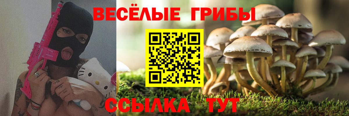 Галлюциногенные грибы MAGIC MUSHROOMS  Вход с VPN  Кудымкар 