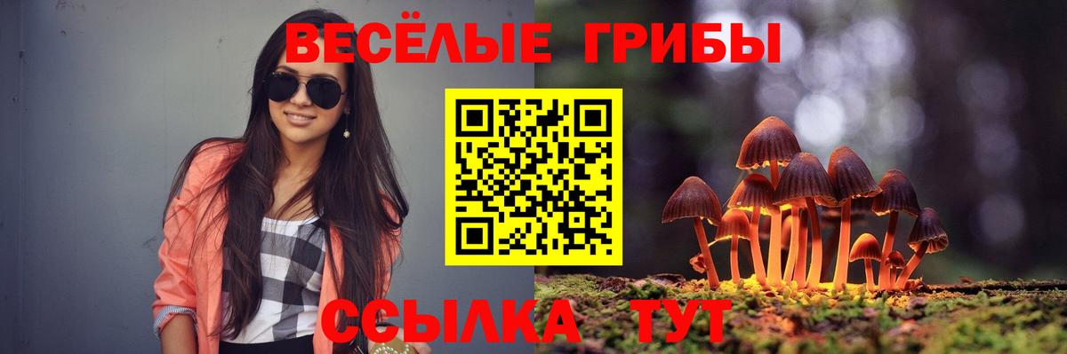 Псилоцибиновые грибы MAGIC MUSHROOMS Кудымкар